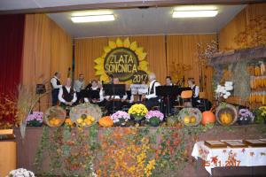 Zlata sončnica 2017a